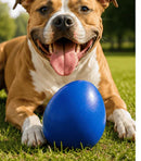 Bola Ovo Fujão – Brinquedo para Mordidas Fortes 🐾🥚