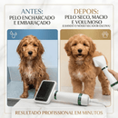 Escova Secadora Pet 2 em 1-  🪮🐾