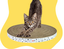 Arranhador para Gatos Caminha Bolacha – Conforto e Diversão para o Seu Gato!